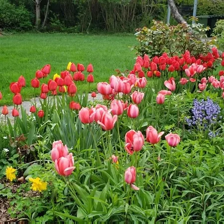 Mini-apartment In The Flowerbed *
